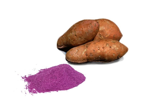 Bild von Süsskartoffel-Pulver 1kg