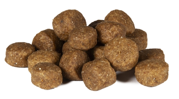 Bild von Muster dog pure athletica Rind